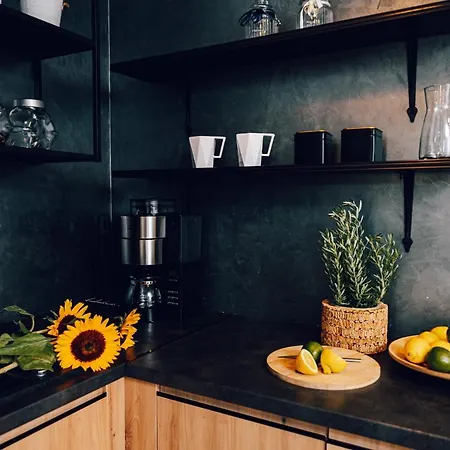 Apartament Loft Nad Rzeką