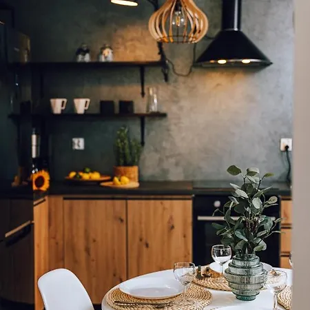 Apartament Loft Nad Rzeką *