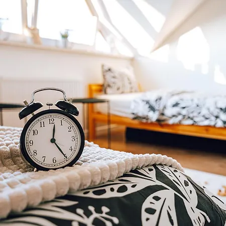 Διαμέρισμα Apartament Loft Nad Rzeka 3 Pokojowy Ustroń